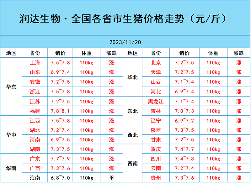 11月20日猪价行情