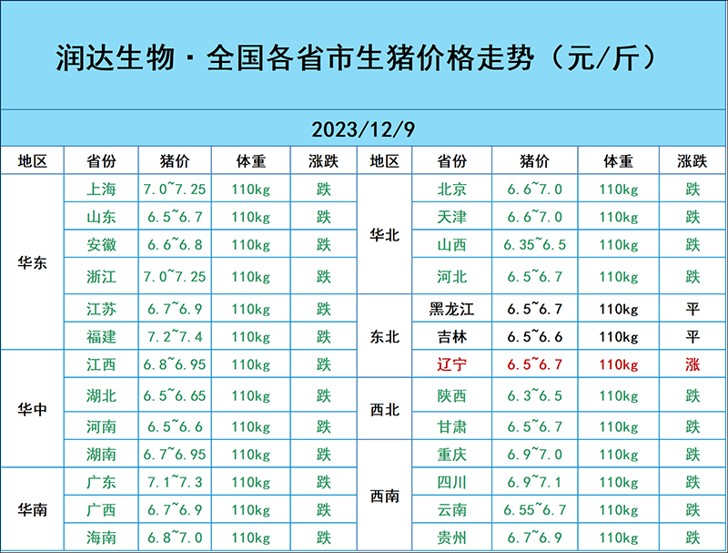 12月9日猪价行情