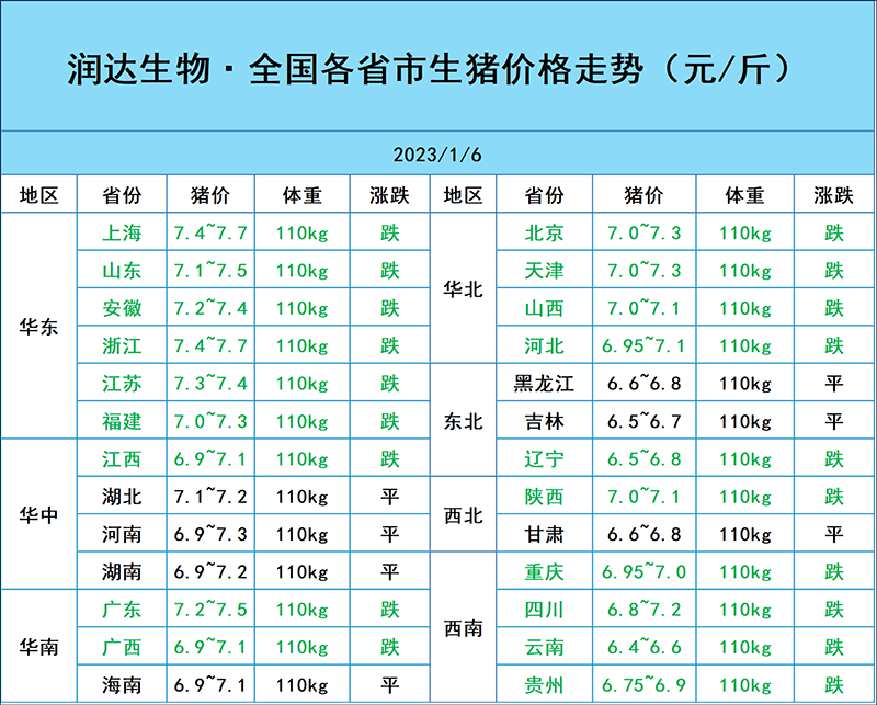 1月6日猪价行情