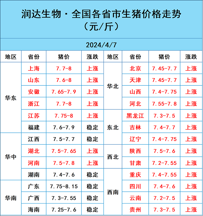 2024年4月7日明日猪价行情