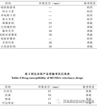 检测报告效果