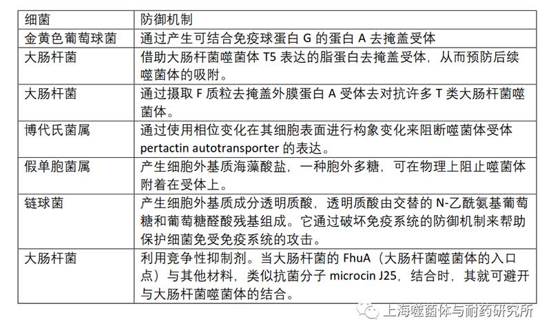 细菌避免噬菌体吸附  