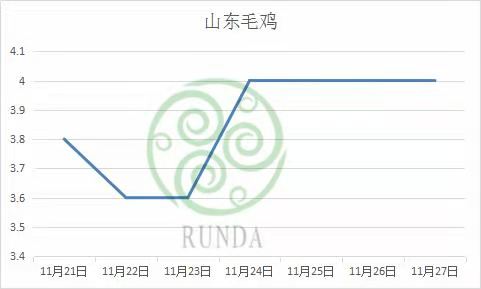 山东毛鸡行情