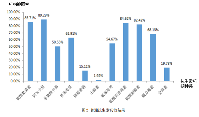 通俗抗生素药敏效果