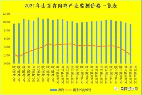 山东省肉鸡工业监测价钱