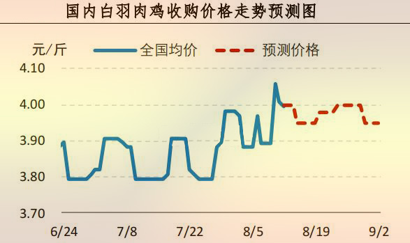 白羽肉鸡价钱走势展望