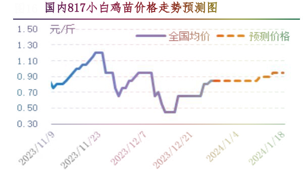 肉鸡市场行情汇总