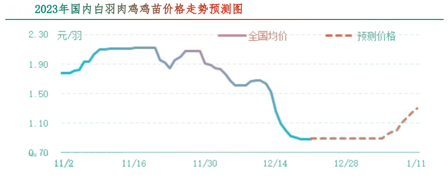 肉鸡市场行情汇总