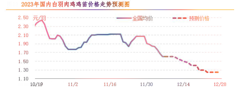 肉鸡市场行情汇总