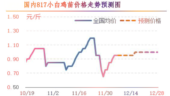 肉鸡市场行情汇总