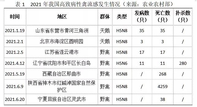 禽流感致病情形