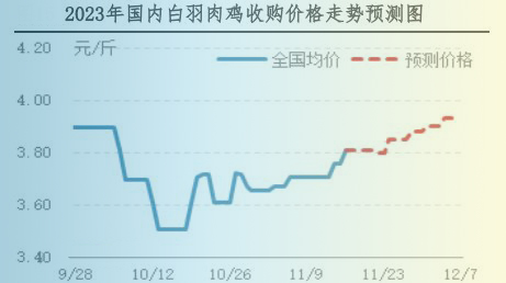 肉鸡市场行情汇总