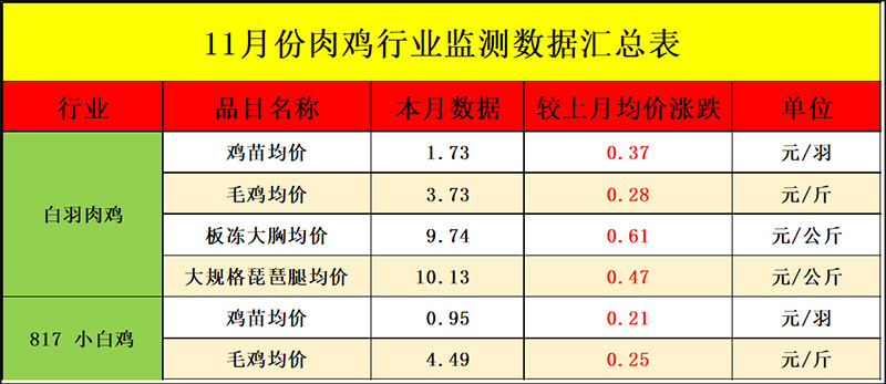 11月肉鸡市场行情剖析