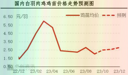 9月肉鸡市场行情剖析及10月行情展望
