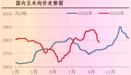 9月肉鸡市场行情剖析及10月行情展望