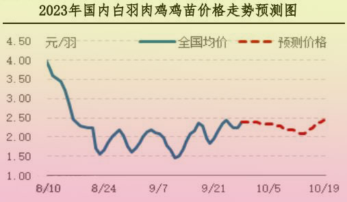 肉鸡市场行情汇总