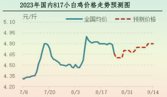 肉鸡市场行情汇总