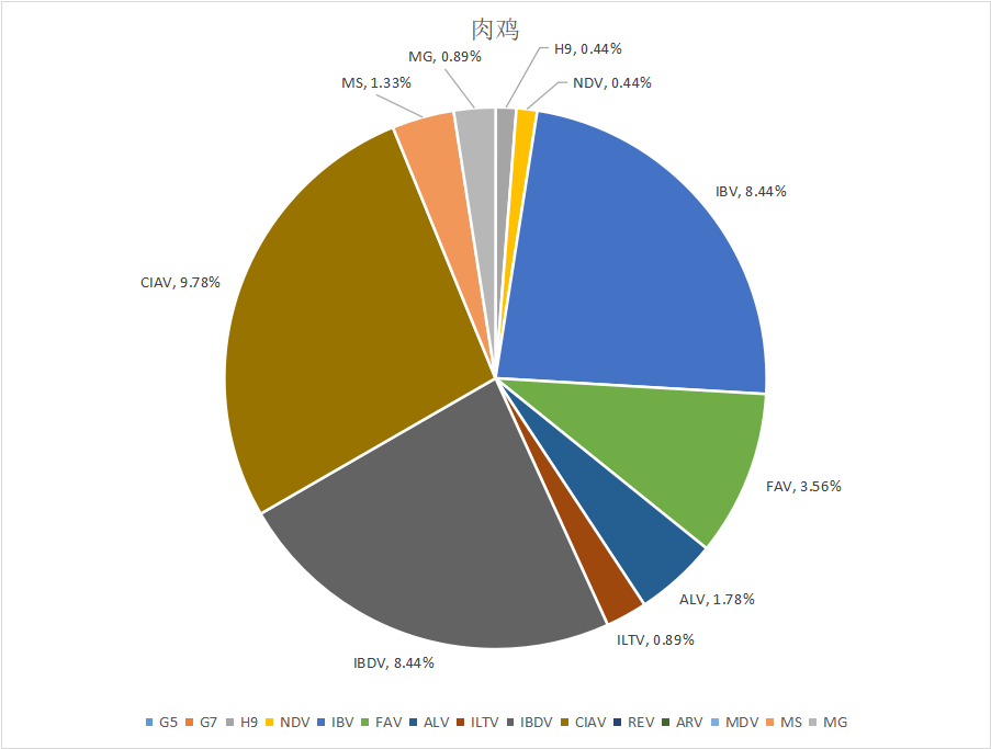 怎样应对目今的变异型法氏囊炎？