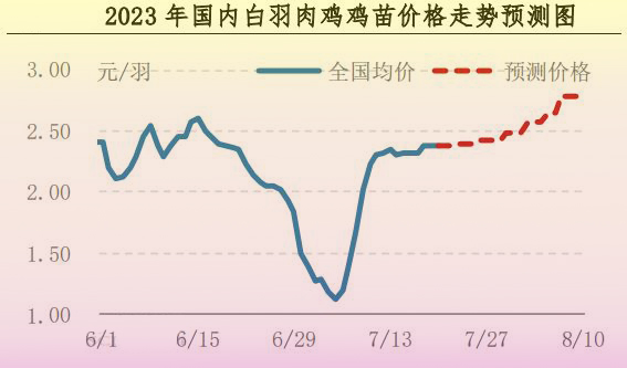 肉鸡市场行情汇总