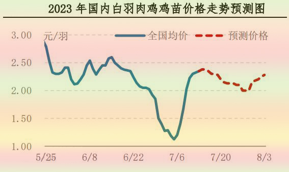 肉鸡市场行情汇总