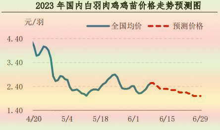 肉鸡市场行情汇总