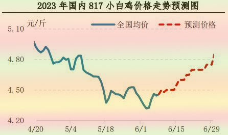 肉鸡市场行情汇总