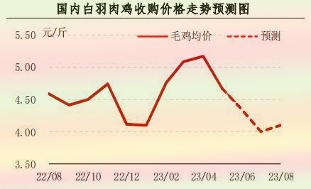 5月肉鸡市场行情剖析及6月展望