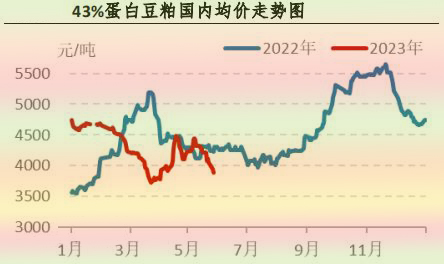 5月肉鸡市场行情剖析及6月展望