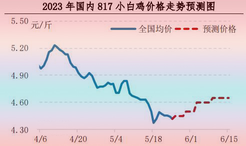 肉鸡市场行情汇总