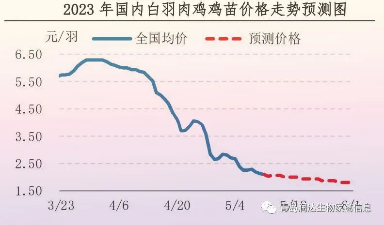 肉鸡市场行情汇总