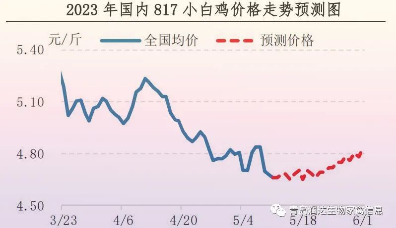 肉鸡市场行情汇总