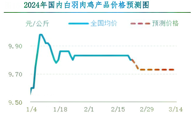 肉鸡市场行情汇总