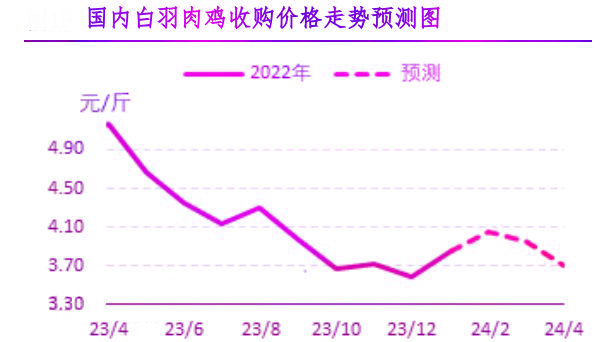 1月肉鸡市场行情剖析及2月行情展望